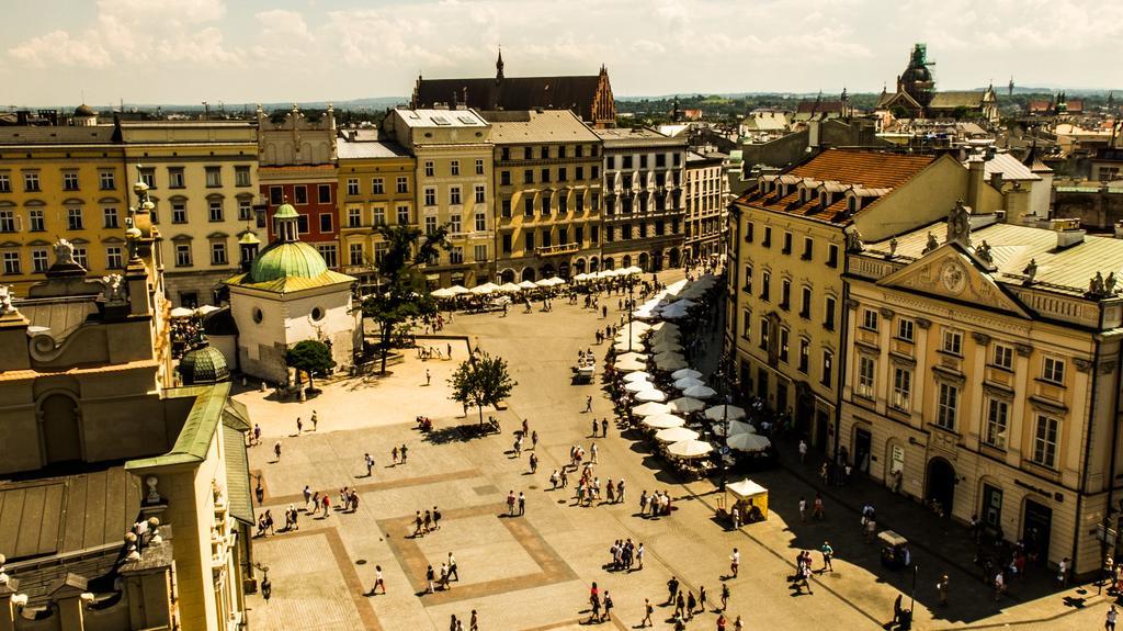 Blueberry Kraków
